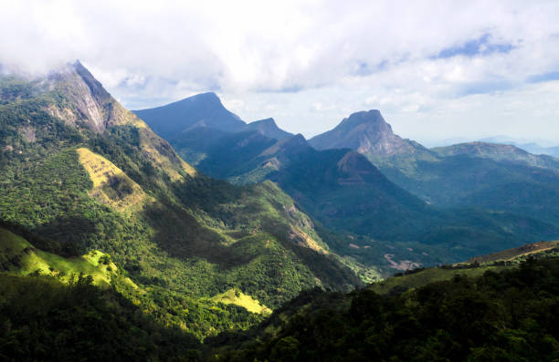 corbet's gap picture of knuckles conservation forest, sri lanka