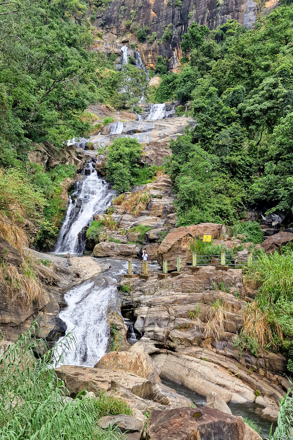 ella one day tour by tuk tuk ella one day tour by tuk tuk