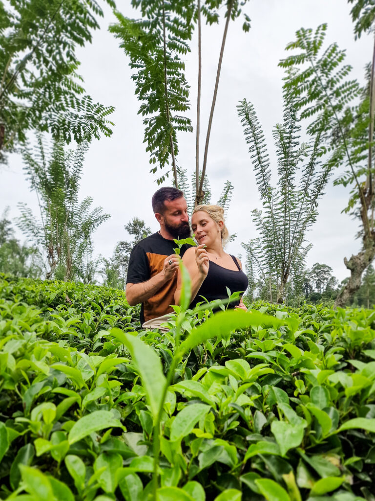 ella one day tour by tuk tuk